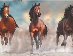 Clementoni Puzzels Voor Volwassenen - Horses, Panorama Puzzel 1000 Stukjes, 10+ Jaar - 39607