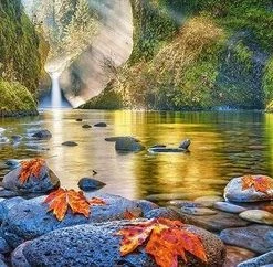 Castorland Legpuzzel Steamy Mornings 600 Stukjes -Goedkope puzzels winkel 550x242