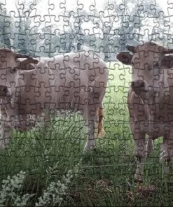 Merkloos Puzzel | Puzzel Dieren | Puzzel 250 Stukjes | Puzzel Koeien | Puzzel Volwassenen (staand)