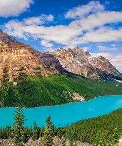 Castorland Legpuzzel Peyto Lake, Canada 500 Stukjes -Goedkope puzzels winkel 550x386 12