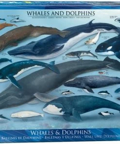 Eurographics Whales & Dolphins, 1000pcs Legpuzzel 1000 Stuk(s) Fauna