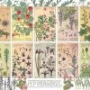 Cobble Hill Puzzel Botanicals By Verneuil - 1000 Stukjes