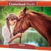 Castorland Legpuzzel Great Friendship 500 Stukjes