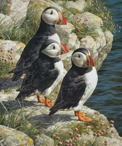 Cobble Hill Puzzle 500 Pieces - Fisherman's Wharf